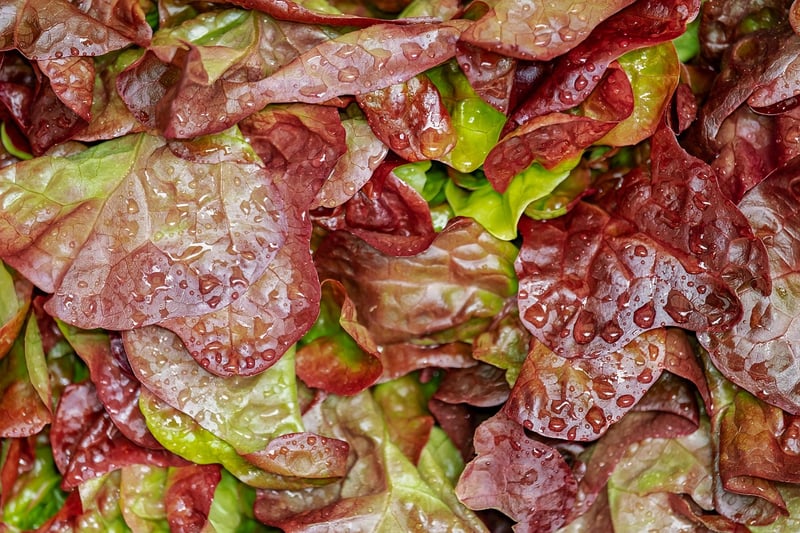 Refrigerated Vegetables
